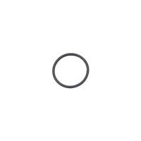 O-Ring ORM 0170-15 EPDM zu Cappuccinodüse für Saeco Intelia